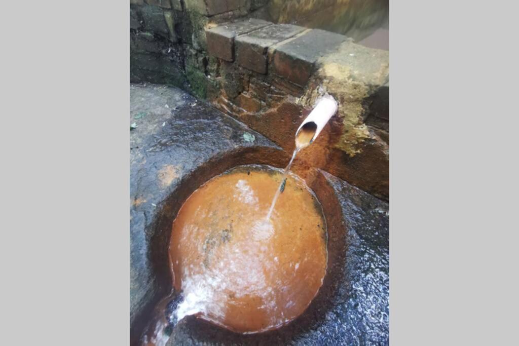 Gite Le Balcon Flaubert Forges-les-Eaux Luaran gambar